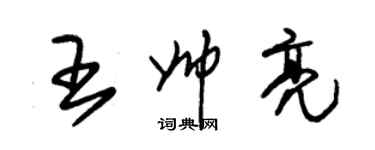 朱錫榮王帥亮草書個性簽名怎么寫