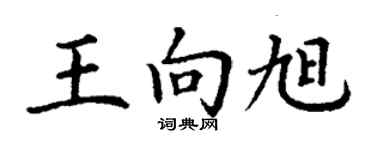 丁謙王向旭楷書個性簽名怎么寫