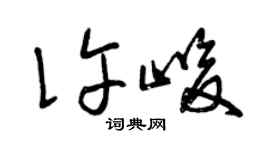 曾慶福許峻草書個性簽名怎么寫