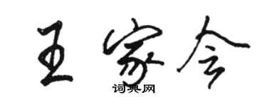 駱恆光王家會行書個性簽名怎么寫