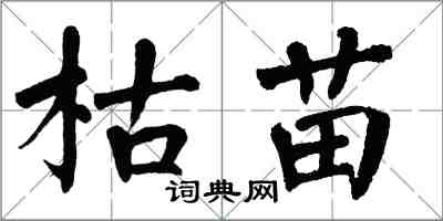 翁闓運枯苗楷書怎么寫