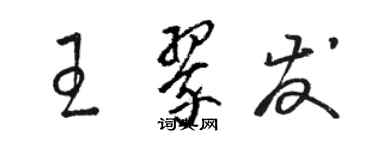 駱恆光王翠發草書個性簽名怎么寫