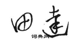 駱恆光田達草書個性簽名怎么寫