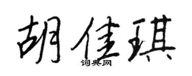 王正良胡佳琪行書個性簽名怎么寫