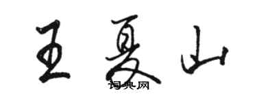 駱恆光王夏山行書個性簽名怎么寫