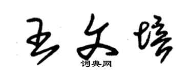 朱錫榮王文培草書個性簽名怎么寫