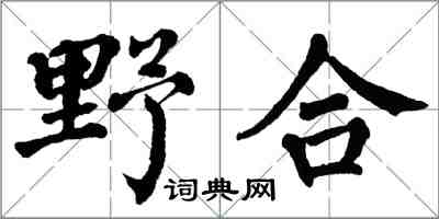 翁闓運野合楷書怎么寫