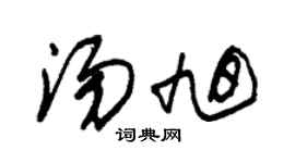 朱錫榮湯旭草書個性簽名怎么寫