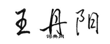 駱恆光王丹陽行書個性簽名怎么寫