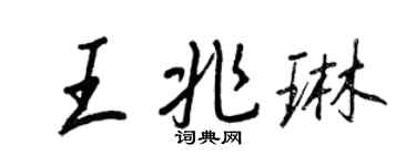王正良王兆琳行書個性簽名怎么寫