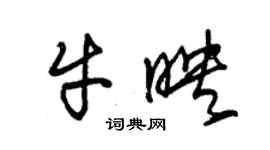 朱錫榮牛映草書個性簽名怎么寫