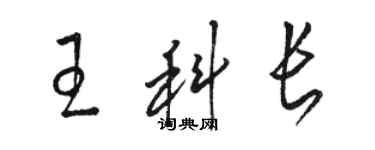 駱恆光王科長草書個性簽名怎么寫