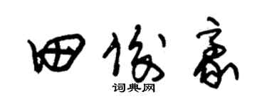 朱錫榮田俊豪草書個性簽名怎么寫