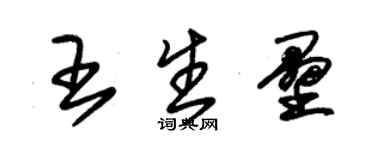 朱錫榮王生壘草書個性簽名怎么寫