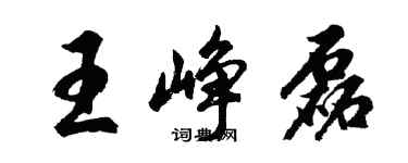 胡問遂王崢磊行書個性簽名怎么寫