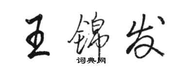 駱恆光王錦發行書個性簽名怎么寫