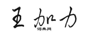 駱恆光王加力行書個性簽名怎么寫