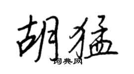 王正良胡猛行書個性簽名怎么寫