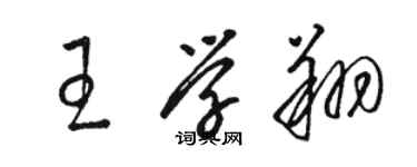 駱恆光王學翔草書個性簽名怎么寫