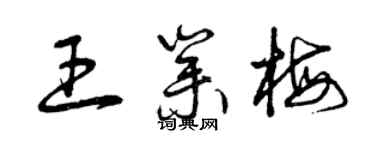 曾慶福王業梅草書個性簽名怎么寫