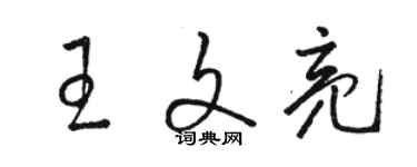 駱恆光王文亮草書個性簽名怎么寫