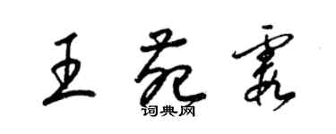 梁錦英王苑霞草書個性簽名怎么寫