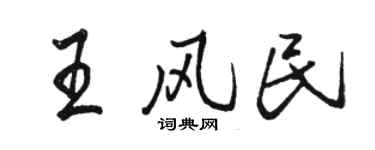 駱恆光王風民行書個性簽名怎么寫