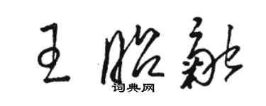 駱恆光王昭融草書個性簽名怎么寫