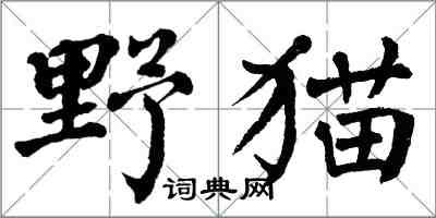 翁闓運野貓楷書怎么寫