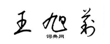 梁錦英王旭莉草書個性簽名怎么寫