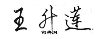 駱恆光王升蓮行書個性簽名怎么寫
