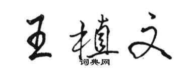 駱恆光王植文行書個性簽名怎么寫