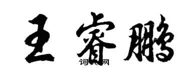 胡問遂王睿鵬行書個性簽名怎么寫