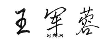 駱恆光王軍蓉行書個性簽名怎么寫