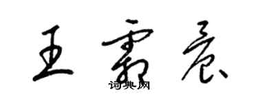 梁錦英王霜晨草書個性簽名怎么寫