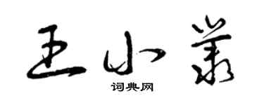 曾慶福王小叢草書個性簽名怎么寫