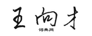 駱恆光王向才行書個性簽名怎么寫