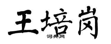 翁闓運王培崗楷書個性簽名怎么寫