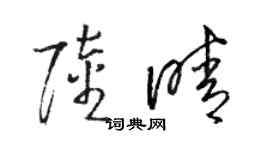 駱恆光陸晴草書個性簽名怎么寫