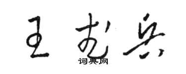 駱恆光王武兵草書個性簽名怎么寫
