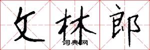 文林郎怎么寫好看
