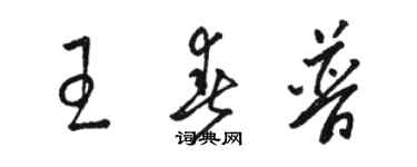 駱恆光王春普草書個性簽名怎么寫