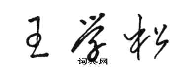 駱恆光王學松草書個性簽名怎么寫