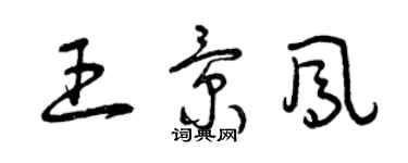 曾慶福王景鳳草書個性簽名怎么寫