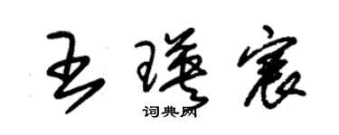 朱錫榮王瑛宸草書個性簽名怎么寫