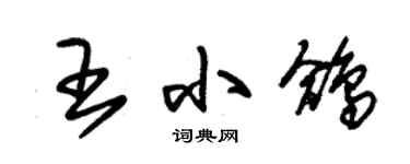 朱錫榮王小鴿草書個性簽名怎么寫