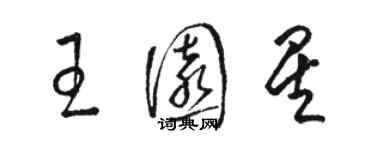 駱恆光王園星草書個性簽名怎么寫