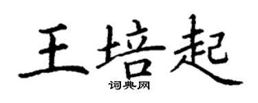 丁謙王培起楷書個性簽名怎么寫