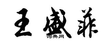 胡問遂王盛菲行書個性簽名怎么寫