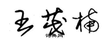 朱錫榮王茂楠草書個性簽名怎么寫